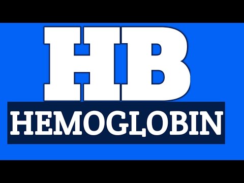 PENYEBAB HEMOGLOBIN RENDAH|APA ITU HEMOGLOBIN|FUNGSI HEMOGLOBIN