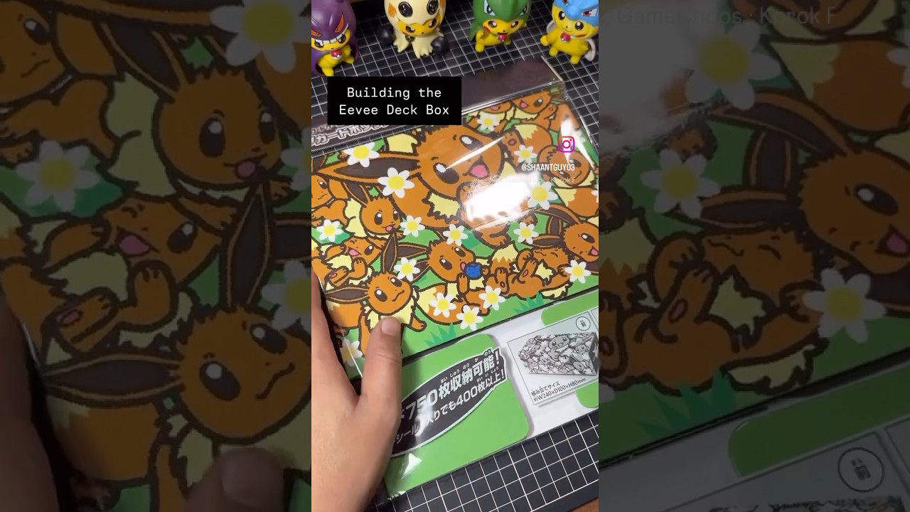 The Pokemon Card Game Long Card Box Eevee Collection! 