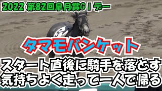 【皐月賞】【カラ馬】第５R タマモバンケットが騎手を振り落とす→一人で帰ってくる 現地映像