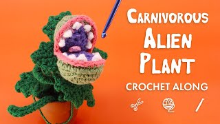 Carnivorous Alien Plant Amigurumi - Live Crochet Along - ANOTHER GIVEAWAY!