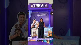 ¿Gatitos o perritos? 🐶🐱 Pusimos en aprietos al Team Atrevia Vets con estas decisiones imposibles.