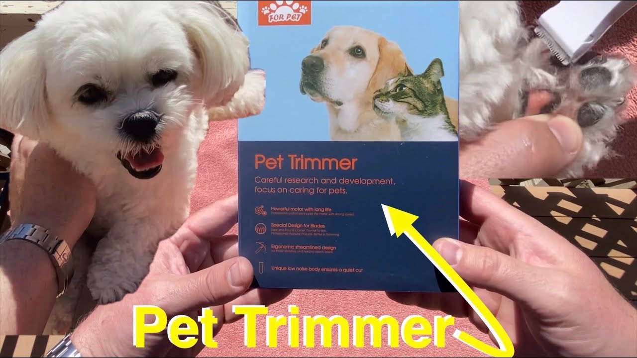 How to Groom My Dog With Clippers: Expert Tips