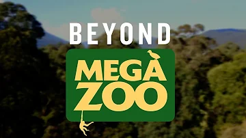 Beyond Mega Zoo- The Southern Corroboree Frog
