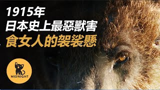 只吃女人的詭異獸害，日本史上堪比靈異故事的猛獸食人事件    三毛別羆|獸害|真實案件|真實事件|都市傳說|恐怖