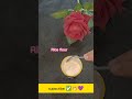30 Min Parlor Like Hair Spa at Home, Repair Damage Hair, Stop Hair Fall #hairfall #shorts