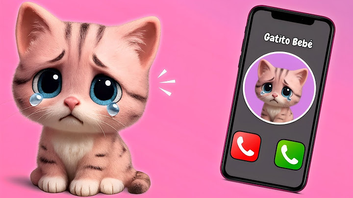 📞🥺Llamada Del Gatito Bebé😺🥺 Está Triste Porque Lo Abandonaron, Ayudalo A Buscar Un Hogar😥🏠  #cat