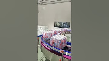 Carbonated Beverage Palletizing System Beverage bottling line#beverageindustry #bottlefiller