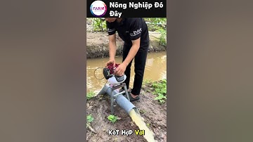 Máy bơm nước tự chế từ máy cắt cỏ, cực kỳ hiệu quả #nongdan#nongnghiep#shortvideo#mientay#farming