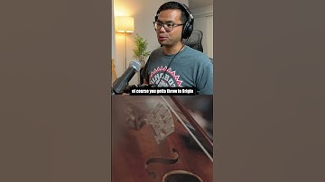 Making a #lofi beat with only FREE plugins! #cymatics