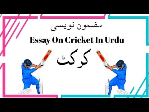 essay on cricket in urdu for class 4