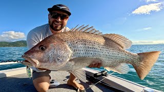 ISLAND GIANTS Hard work pays off