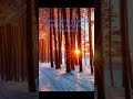 💕🤗Schütze #tarot #liebe #tarotreading #runen #numerologist