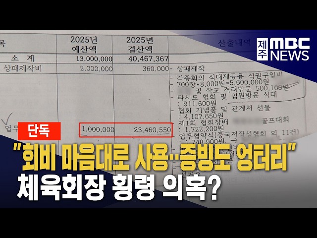 "회비 마음대로 사용"‥체육회장 횡령 의혹?