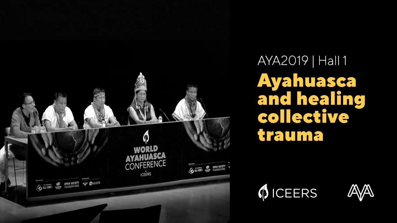 Ayahuasca And Healing Collective Trauma Iceers