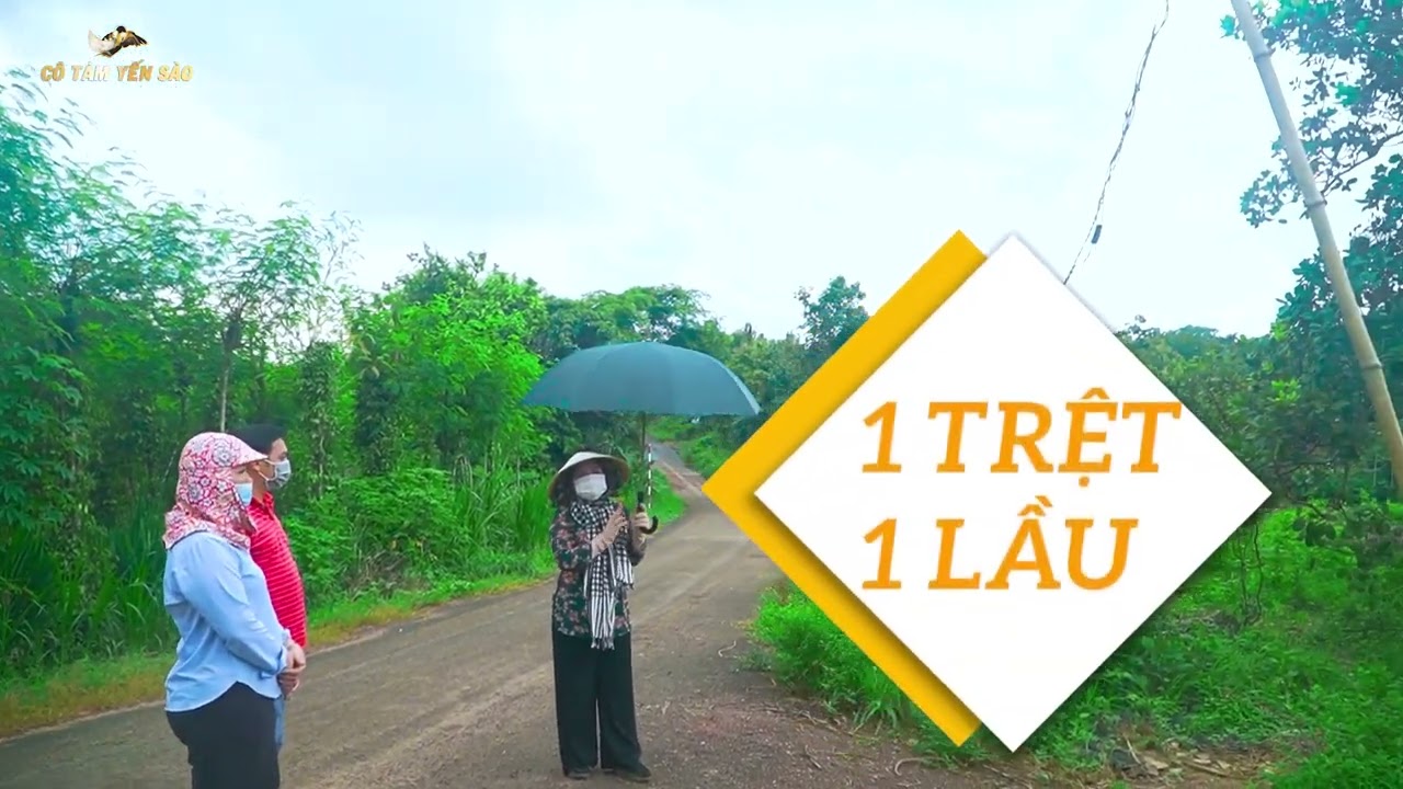 CẢNH BÁO ! Đã có 2 nhà yến nhưng thất bại   0949 99 3939