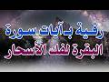 رقية بـ آيات سورة البقرة لفك السحر بأمر الله الراقي الشرعي الشيخ ناصر زيدان الغامدي