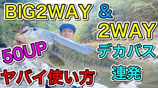 ビッグ2WAYと2WAYのデカバスにくわれまくったヤバすぎる使い方‼️#レイドジャパン　#バス釣り