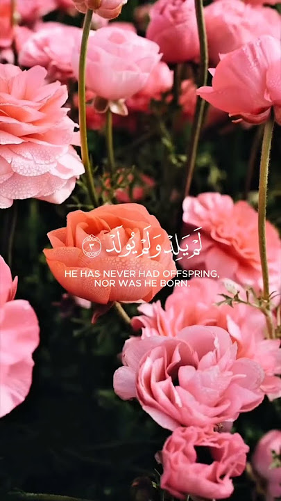 Surah Al-Ikhlas #quran #alhamdulillah #subhanallah