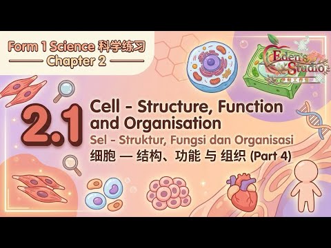 【Form 1 Science 科学练习】 Chapter 2 | 2.1 Cell - Structure, Function and Organisation  #04