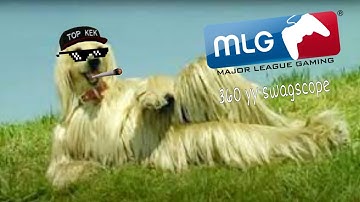 MLG Calbee 360 yy swagscope