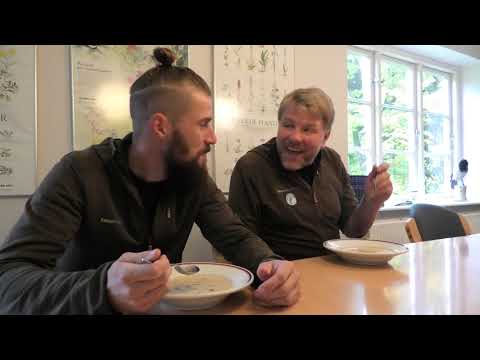 Video: Hvordan Man Laver Frossen Svampesuppe