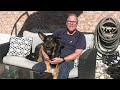 What do you do if your dog is sprayed by a skunk?