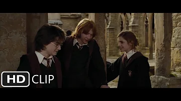 Fairwell scene | Harry Potter and the Goblet of Fire
