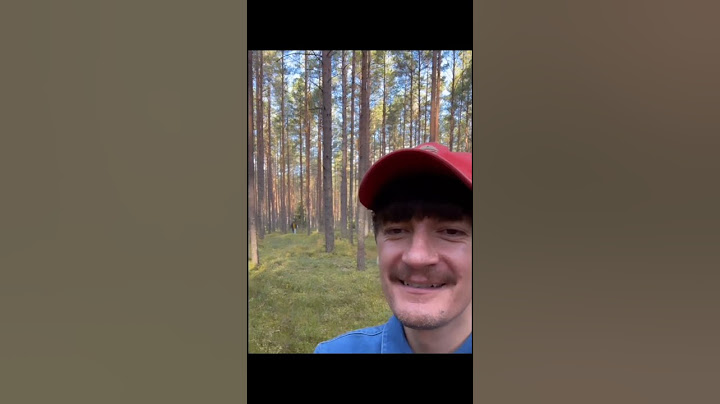 Есть тут грибники? #александргудков #gudok #гудков