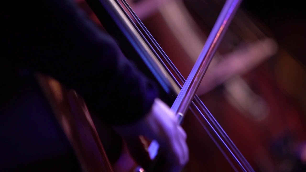 bluedot 2018 | The Blue Planet in Concert with The Hallé Orchestra