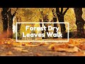 3 Hours Of Forest Dry Leaves Walk Sounds أصوات المشي على أوراق الشجر 3 Hours Of Forest Dry Leaves Walk Sounds أصوات المشي على أوراق الشجر