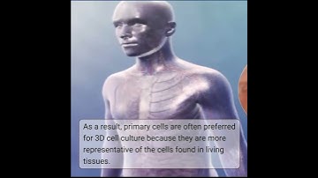 Primary Cells: A physiologically relevant models for 3D cell culture