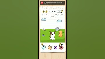 Brain Test Level 263 Walkthrough