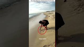 Building Wooden Log Cabin in Forest 🌲🤯 | Survival House Step by Step"7 #facts #amazingfacts