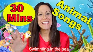 Animal Songs for Children, Babies, Toddlers and Kids by Patty Shukla Learn Counting Math 30 Minutes