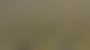 cannabis flower packaging machine, weighing nitrogen filling containers capping labeling