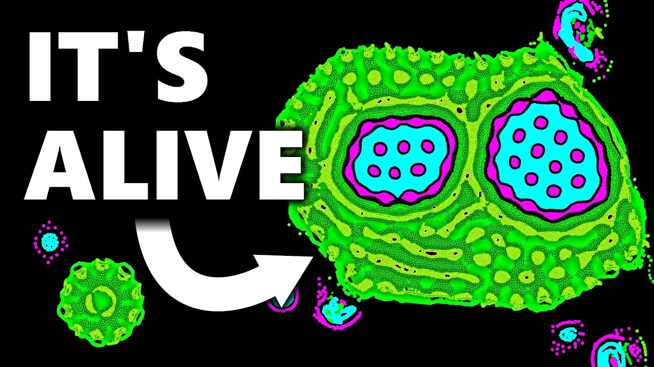 I Created Realistic Life With Particles