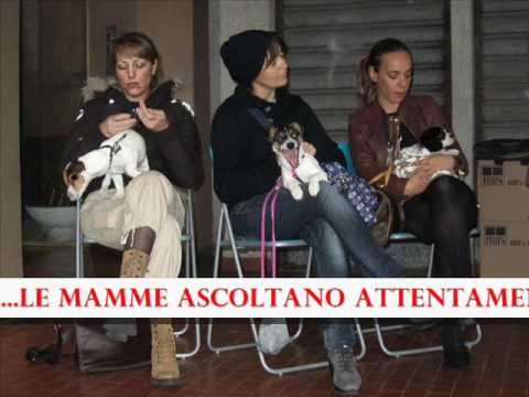 Puppy Party Ambulatorio Veterinario Vigna Murata.wmv
