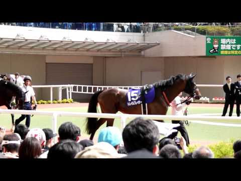 20110626　宝塚記念　パドック　 2番 アーネストリー