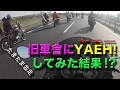 旧車會にYAEH!!してみた結果は...房総半島牡蠣食い放題ツーリング!Ninja ZX-14R/motovlog#40