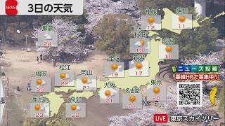 4月3日の天気