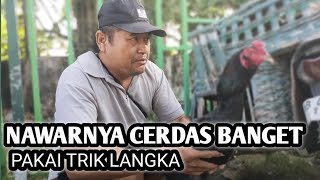 The art of bargaining with Bangkok chickens at the market - ABG's blue cage