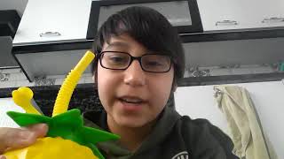 pipetli ananas suluk (ilk videom)