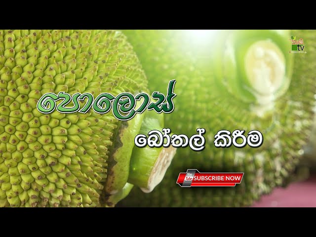 Agriculture Beyond Production TV Program | පොලොස් බොතල් කිරිම | 2021-02-21 | Krushi Tv