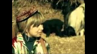 Jawad Maroof - Zma Watan (Pashto song)