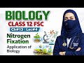 🔥 L-4 Nitrogen Fixation | Pollution & BOD | Uses of Biology | Class 12 FSC Full Concept 💯