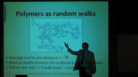 Liquid Crystals and Rubbers: Combining Scientific Fields for New Technologies