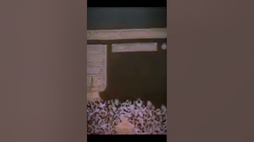 أَنت وليي فِي الدنيا وَالآخرَة توَفني مسلِما وَأَلحقني بِالصّالِحينَ | سورة يوسف | القارىء علي جابر