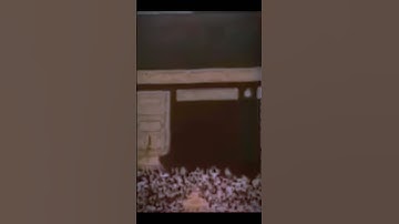 أَنت وليي فِي الدنيا وَالآخرَة توَفني مسلِما وَأَلحقني بِالصّالِحينَ | سورة يوسف | القارىء علي جابر