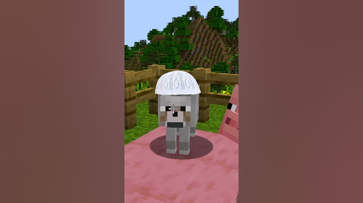 Minecraft'ta Müslüman Kurt !! #shorts