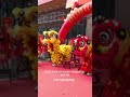 Lions Dance China 2026